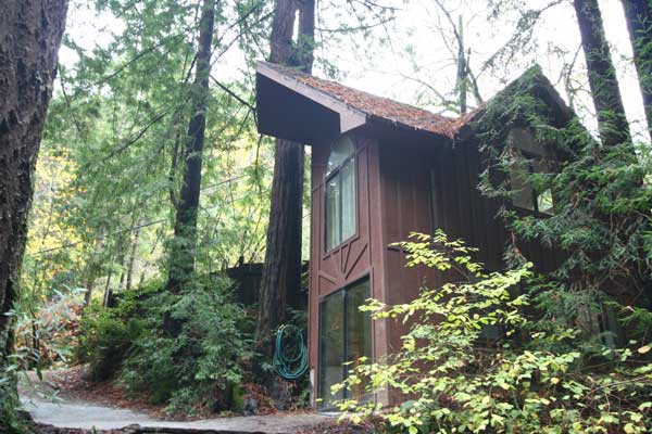 This two story cottage is on a wooded lot, surrounded by Redwoods.  This view is the back of the cottage.