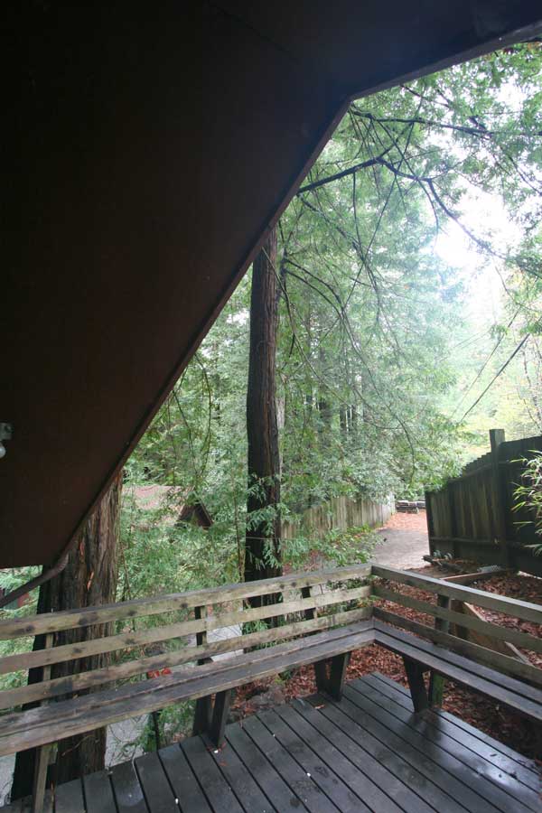 View from deck.