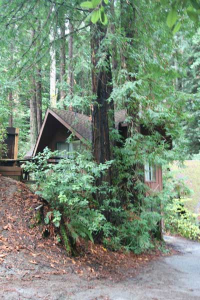 View from driveway with upper entrance and deck to the left, lower entrance to the right.