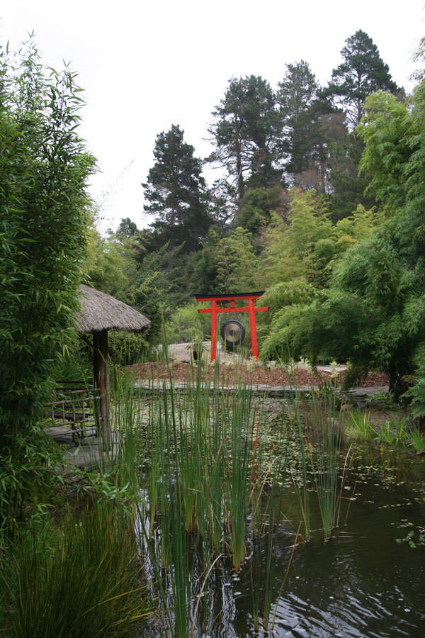 Koi pond just across the parking area.